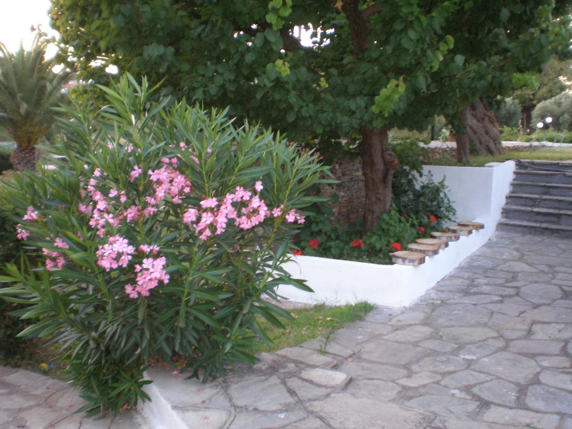 Hotel Porto Matina Metamorfosi  Zewnętrze zdjęcie